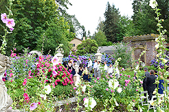 A FAIRY TALE WEDDING